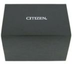 Citizen AN3575-03E